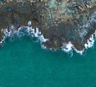 gerflor-header-linoleum-by-gerflor