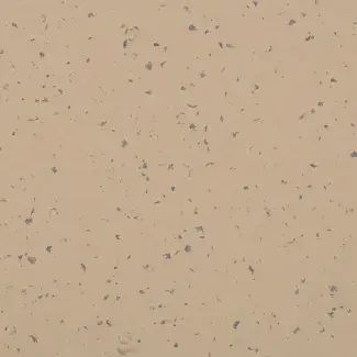 Mipolam Planet 5428 Shedded Ground