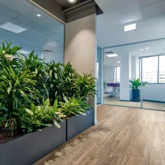 Taralay Impression Corridor office Wood Fusion-AMBIANCE