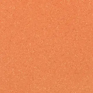 Attraction - Goias 8157