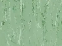 Medium Green - scanmobile