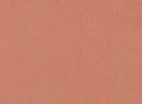 TARASAFE STANDARD - Paprika