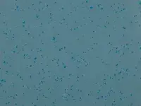 Mipolam Planet 5466 Rocky Blue